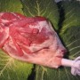 epaule d'agneau